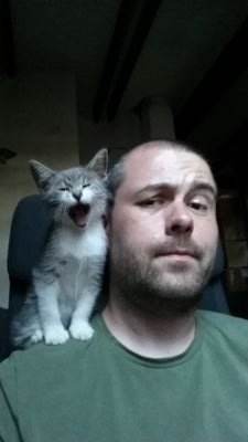 Shockingly, Bobo