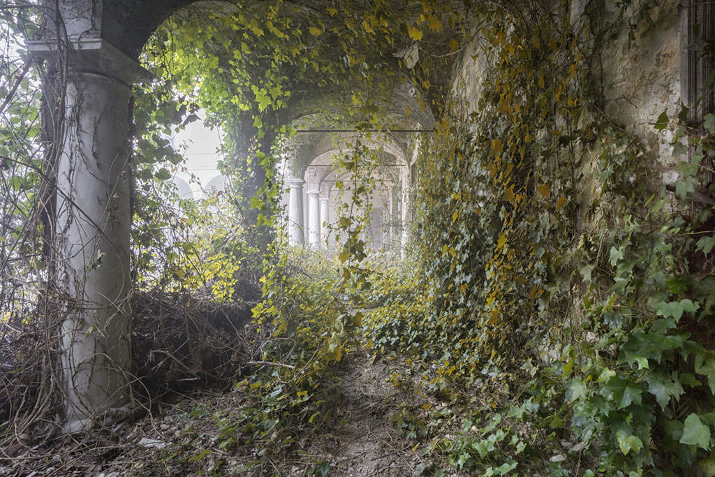 A building which nature takes over again