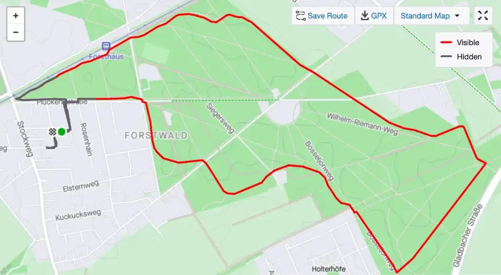 A screenshot from a GPX map showing my run with the correct path