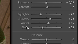 An animated if that shows part of the Lightroom UI and me double clicking on a settings name to reset it