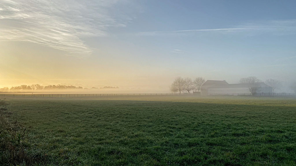 A photo I took in the morning, showing a foggy field, where the sun is breaking through the fog, a house far away on the right and a few trees on the left side.